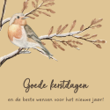 2506, 4 ansichtkaarten staand zonder envelop