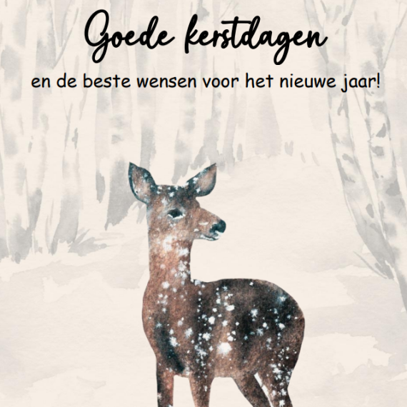 2506, 4 ansichtkaarten staand zonder envelop