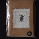 4 handgemaakt kaarten thema: 'insecten'