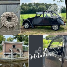 Gefeliciteerd