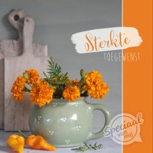 Sterkte/beterschap