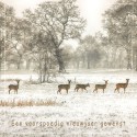 2606, 2 dubbele kaarten met envelop
