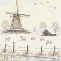 2602, 2 enkele kaarten met envelop
