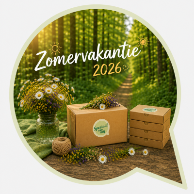 Zomer 2026.png