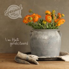 Gefeliciteerd